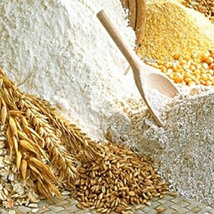 Farine e Cereali Bio
